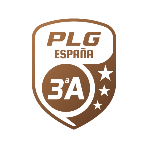 3ª DIVISIÓN A - PLG