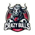 Crazy Bulls Fc