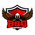 BSG eSp