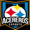 Acereros eSp