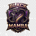 Black Mamba AC
