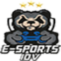 IDV eSports