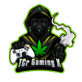 TCR Gaming X