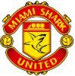 Miami Shark
