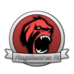 Pinga Amores FC