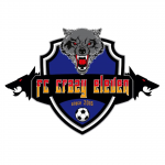 Fc Crazy Eleven