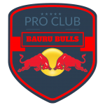 BAURU BULLS