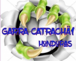 Garra Catracha