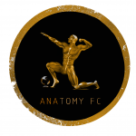 ANATOMY