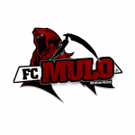 FC Mulo