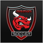 Arena Soccer