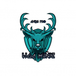 LIGA MUÑIZ
