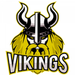 GAMEPONG VIKINGS