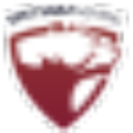 Spetsnaz Gaming Ve