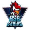 Roosters Gaming