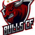 VPN BULLS CF