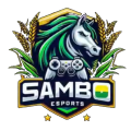 Sambo eSports