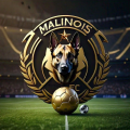 MALINOIS FC FVL