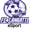 Fc sangatte eSport WE