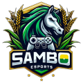 SAMBO ESPORTS LFV