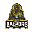 Baladre eSports